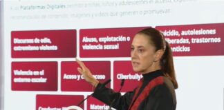 Este es el contenido del Decreto contra la violencia en plataformas digitales / Por Diana Domínguez Galván