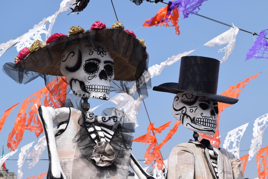 skeleton-3238844_1280-900x600