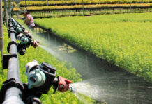 Firman convenio SeCampo y FES Aragón de la UNAM para la tecnificación agropecuaria