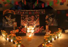 ¡Noches de misterio en Zacango! Disfruta de las leyendas que guarda el Parque Ecológico entre sus muros