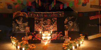 ¡Noches de misterio en Zacango! Disfruta de las leyendas que guarda el Parque Ecológico entre sus muros